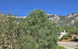 122 6th Avenue, Ouray, CO 81427