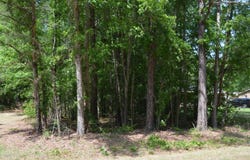 NC Hwy 461, Winton, NC 27986