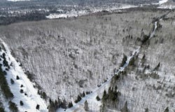 Plantation LN E 20, Rock, MI 49880