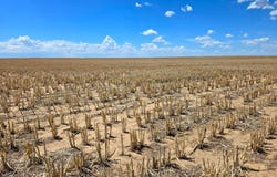TBD County Road, Anton, CO 80801