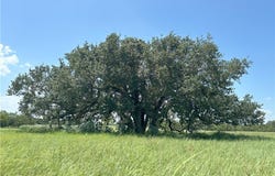 0 Cr 121, Gonzales, TX 78629