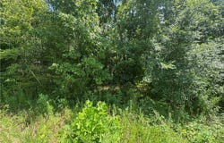 Lot 59 Posy Mountain  DR, Garfield, AR 72732