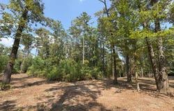 0 Leckie Rd., Eros, LA 71238