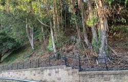 6773 Charing Cross Road, Berkeley, CA 94705