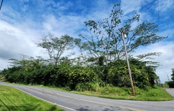 15-1746 9TH AVE, Keaau, HI 96749