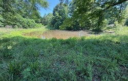 53 Cliffs Plantation Road, Natchez, MS 39120
