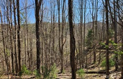 6033 Hwy 321, Sugar Grove, NC 28679