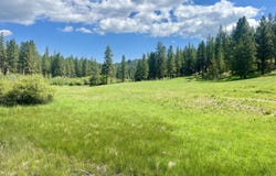 USFS 36 Road, Mount Vernon, OR 97865