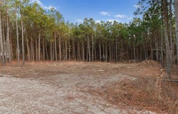 594 Timbuktu Trail, Broken Bow, OK 74728