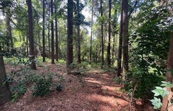 TBD Crestview, Nacogdoches, TX 75965
