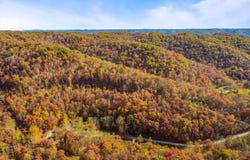115 Silver Linden Ln, Vanceburg, KY 41179