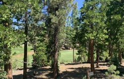 2066 Grizzly Ranch Road lot: 229, Portola, CA 96122
