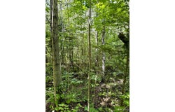 TBD Plantation, Rock, MI 49880
