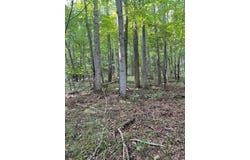 Tbd N. Angle Ave, Lebanon, VA 24266