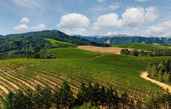 9965 W. Dry Creek Road, Healdsburg, CA 95448