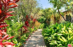 521 N Rexford Dr, Beverly Hills, CA 90210
