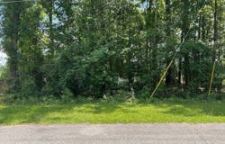 Lot 21 Robin Dr, Bamberg, SC 29003