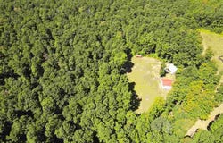 4030 MAPLEWAY, MANCELONA, MI 49659