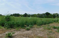 1171 Lot 6 Road, Holden, MO 64040