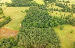 49.50 acres County Road 605, Section, AL 35771