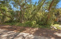 Oleander St, St Augustine, FL 32080