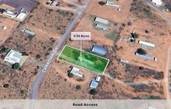 205 Canadian Drive, Conchas Dam, NM 88416
