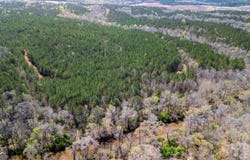 0 Shake Rag, Pine Mountain, GA 31822