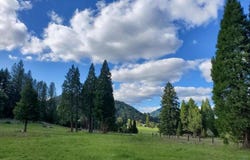 2799 Quines Creek Road, Azalea, OR 97410