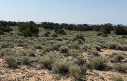 PUEBLO Way, Quemado, NM 87829