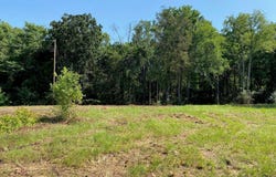 Mt Pleasant Road, Byhalia, MS 38611