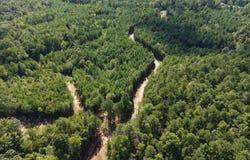 5291 CR-51, Greensboro, AL 36744