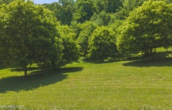 622 Earls Hollow Rd, Speedwell, TN 37870