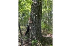 0000 Beech Grove Road, Isonville, KY 41149