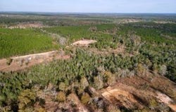 250 Redfish Rd, Poplarville, MS 39470
