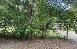311 High Street, Sumter, SC 29150