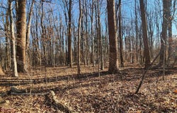 ROBERT CRAIN HIGHWAY NE, BOWIE, MD 20715