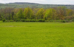 201 Fiery Hill Rd, Ft. Plain, NY 13339