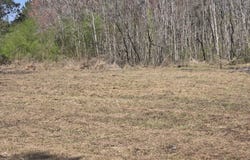 0 Drain Road, Smoaks, SC 29481