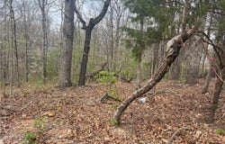 Cunningham Lane lot: 3, Bella Vista, AR 72715