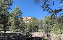 W Elk Drive, Ramah, NM 87321
