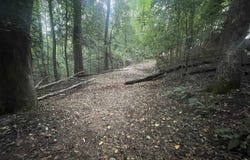 183 Walhalla Highway, Pickens, SC 29685-0000