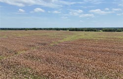 0015 FM 198, Enloe, TX 75441