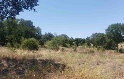 27 Sierra Bluff, Buchanan Dam, TX 78609