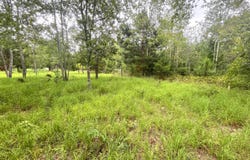 211 Auldridge Road, Hephzibah, GA 30815