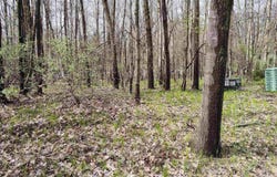 1150 Queensway Drive lot: 460, Lake Isabella, MI 48893