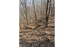 Meandering Circle, Maynardville, TN 37807