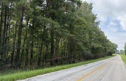 COUNTY ROAD 103, WOODLAND, AL 36280