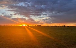 8623 Us-83, Ovalo, TX 79567
