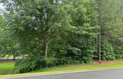 LOT 1 STONE HILL Dr, Winfield, AL 35594