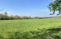 12257 Y-521 Road, Ava, MO 65608